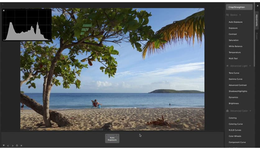 Nevercenter CameraBag Photo 2025.0.0