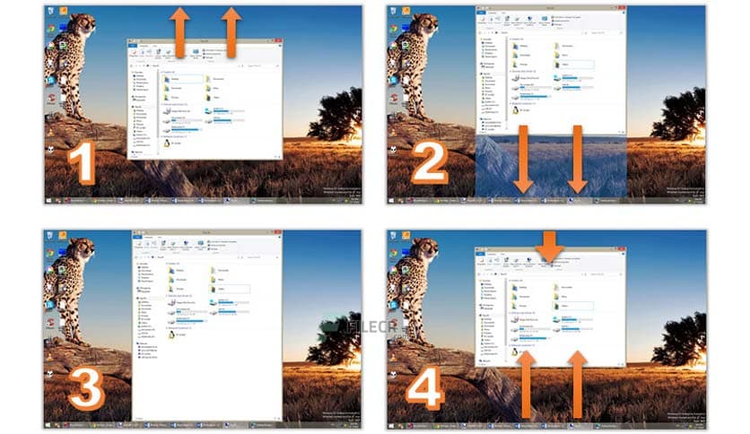 NTWind WindowSpace 2.6.3