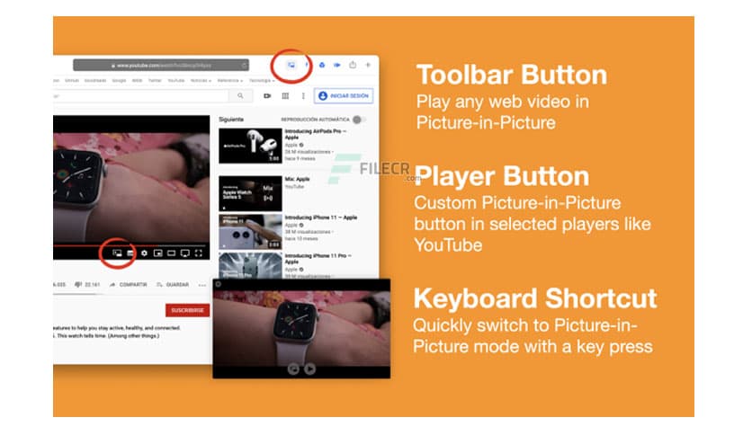 OverPicture for Safari 1.11