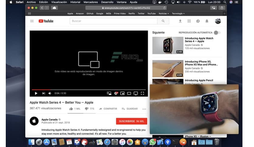 OverPicture for Safari 1.11