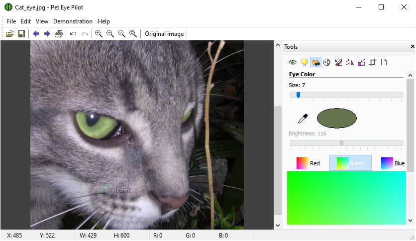 Pet Eye Pilot 3.13.0
