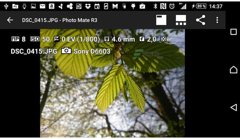 Photo Mate R3 4.1.0 build 210