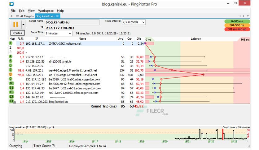 PingPlotter Professional 5.25.20.9089