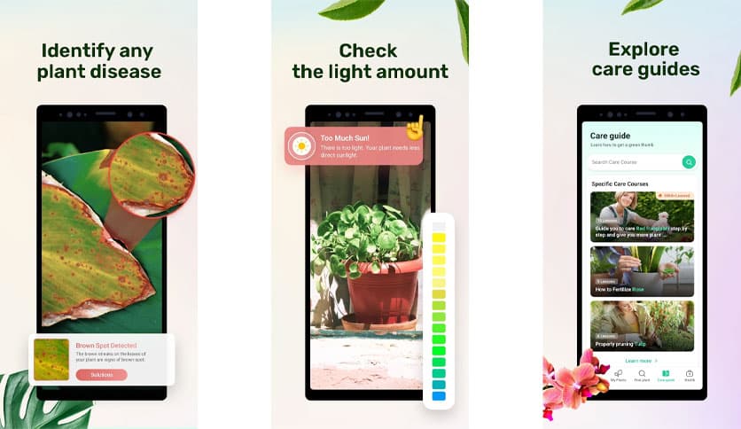 Plant Parent – Plant Care Guide 1.104