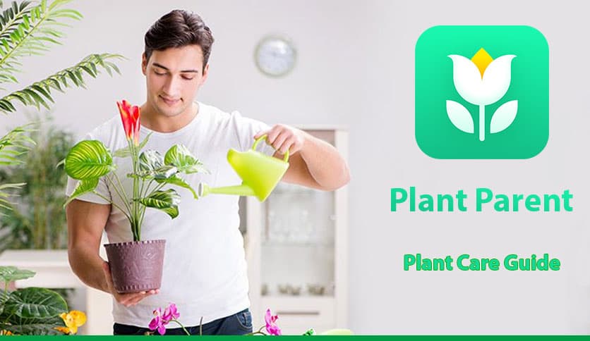 Plant Parent – Plant Care Guide 1.104