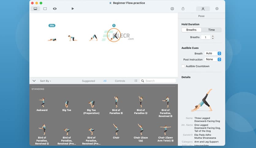 Pocket Yoga Teacher 13.0.0