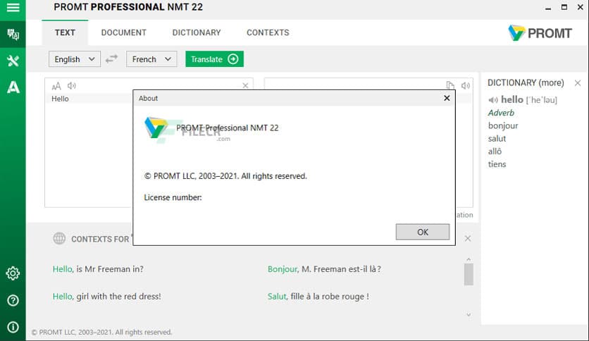 Promt Professional NMT 23.0.60