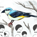 Puremagnetik Shrike 1.0.3