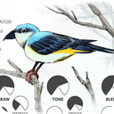 Puremagnetik Shrike 1.0.3