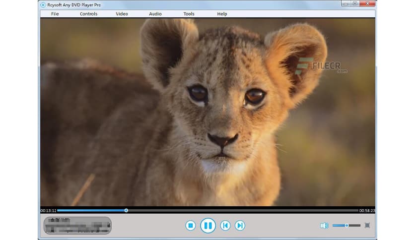 Rcysoft Any DVD Player Pro 13.8.0.0