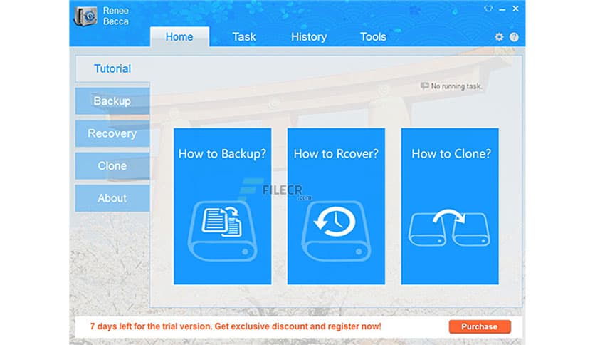 Renee Becca 2025.62.95.377