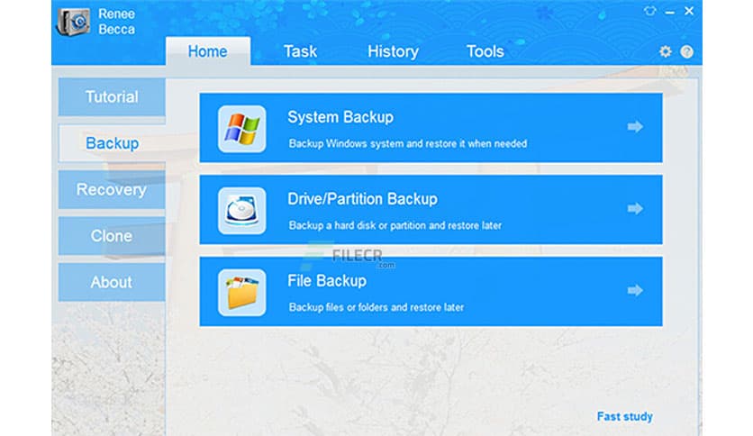 Renee Becca 2025.62.95.377