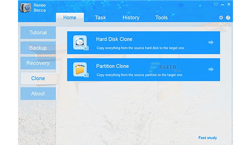 Renee Becca 2025.62.95.377