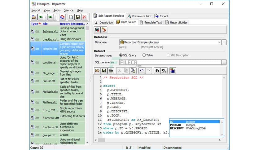 Reportizer 6.6.1.405
