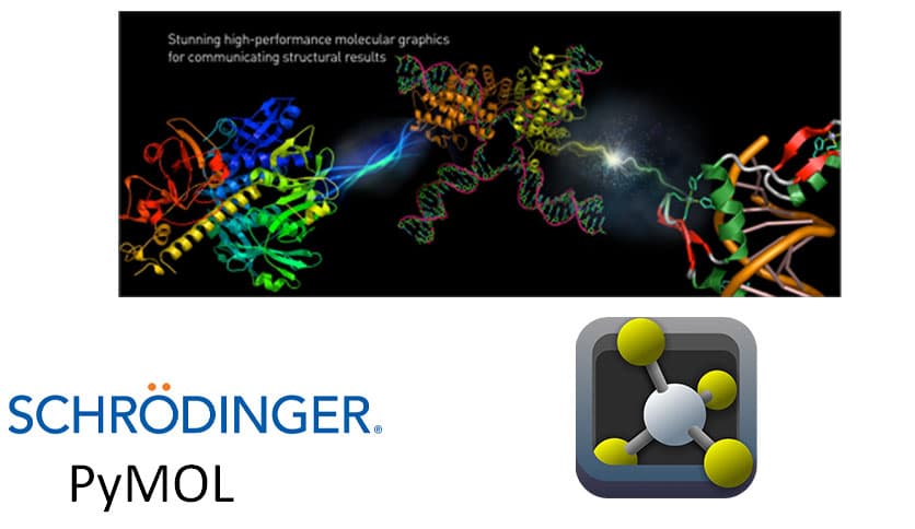 schrodinger PyMOL 3.1.1