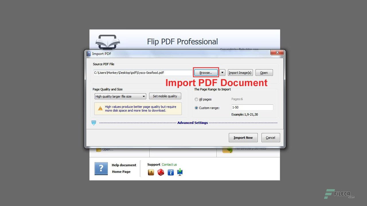 Flip PDF Professional 2.4.10.2