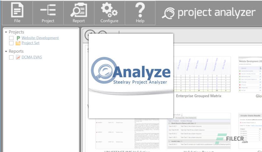 Steelray Project Analyzer 7.22