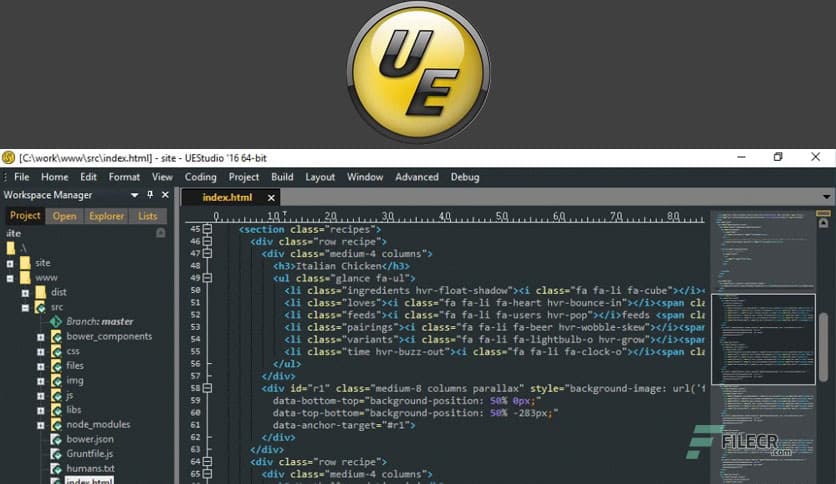 IDM UEStudio 25.2.0.8