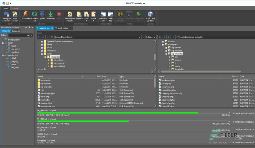IDM UltraFTP 25.0.0.10