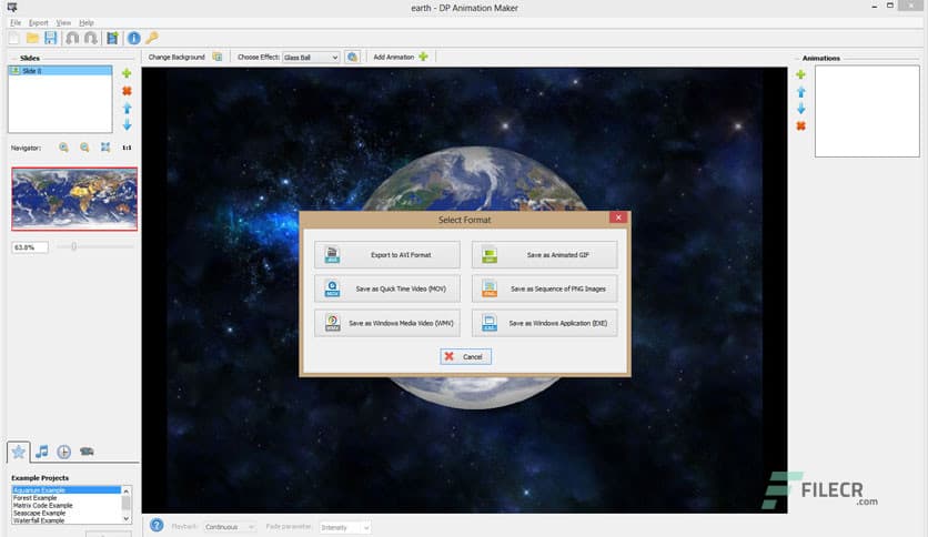 DP Animation Maker 3.5.46