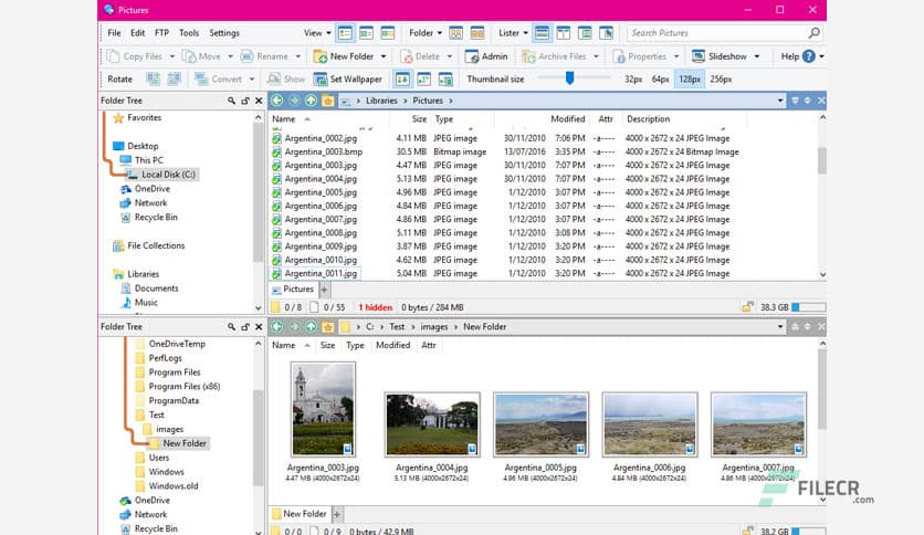 Directory Opus Pro 13.21.1