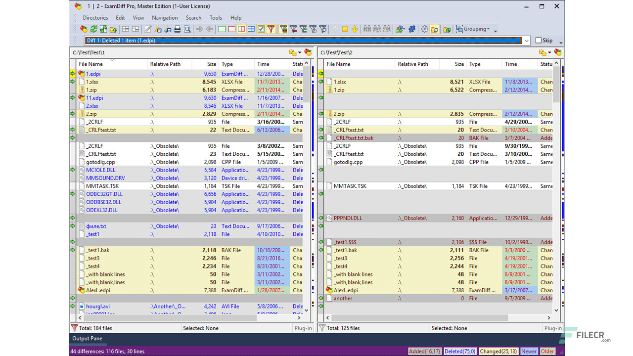 ExamDiff Pro Master Edition 16.0.1.21