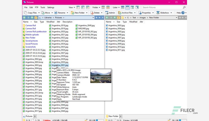 Directory Opus Pro 13.21.1