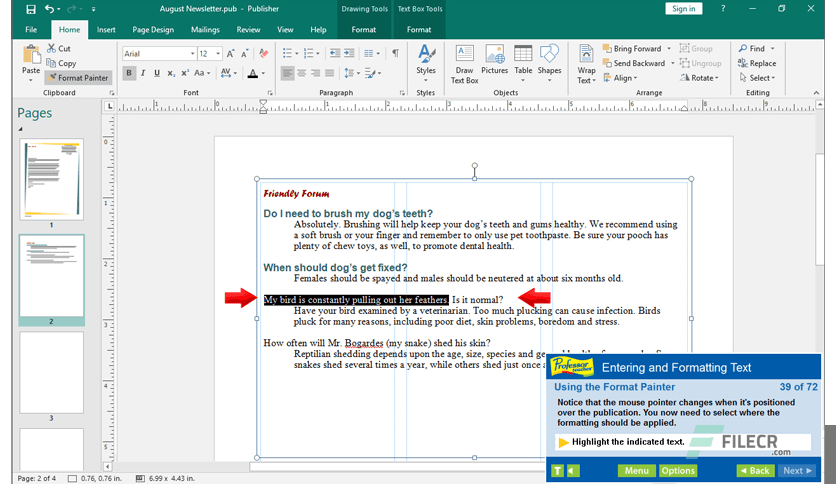 Professor Teaches Publisher 2019 v1.0
