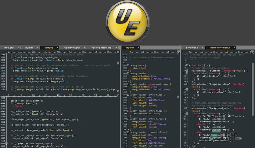 IDM UEStudio 25.2.0.8