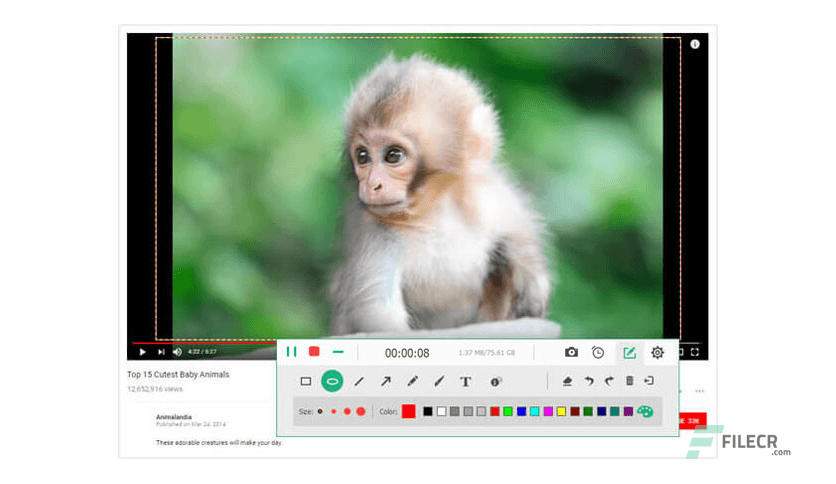 Apeaksoft Screen Recorder 2.3.50