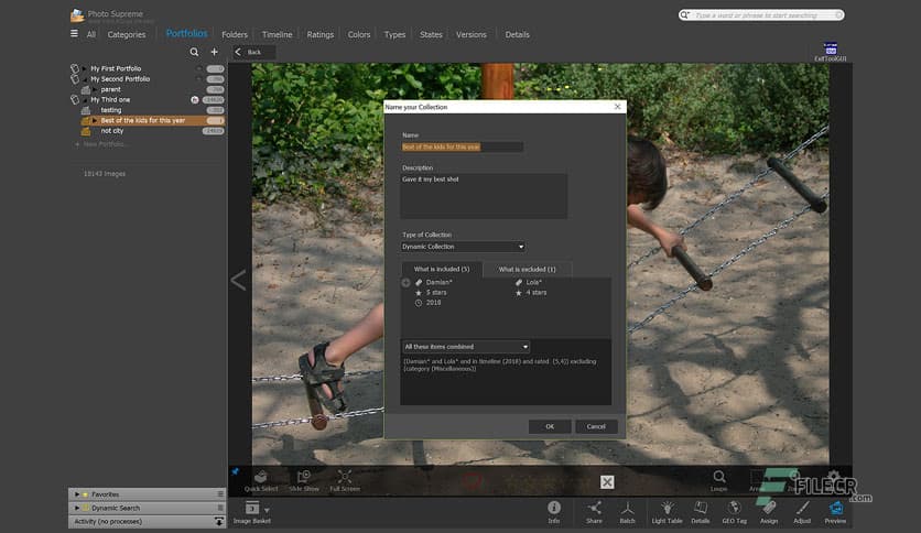 IDimager Photo Supreme 2025.3.3.8139
