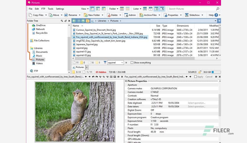 Directory Opus Pro 13.21.1
