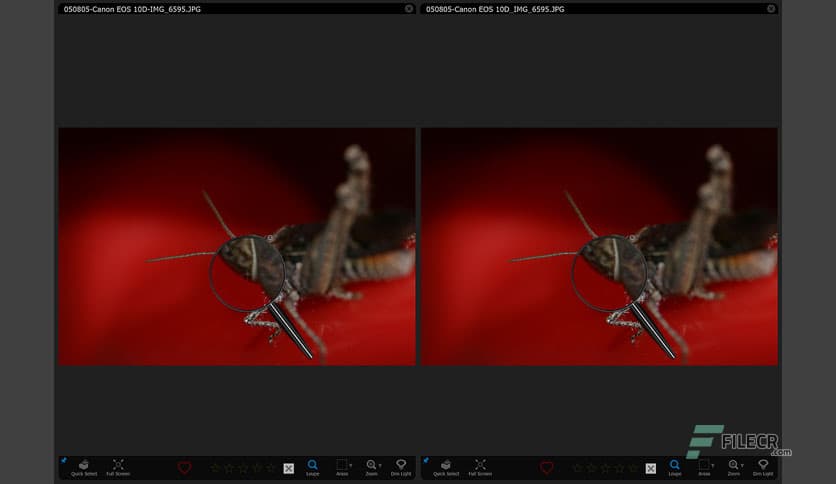 IDimager Photo Supreme 2025.3.3.8139