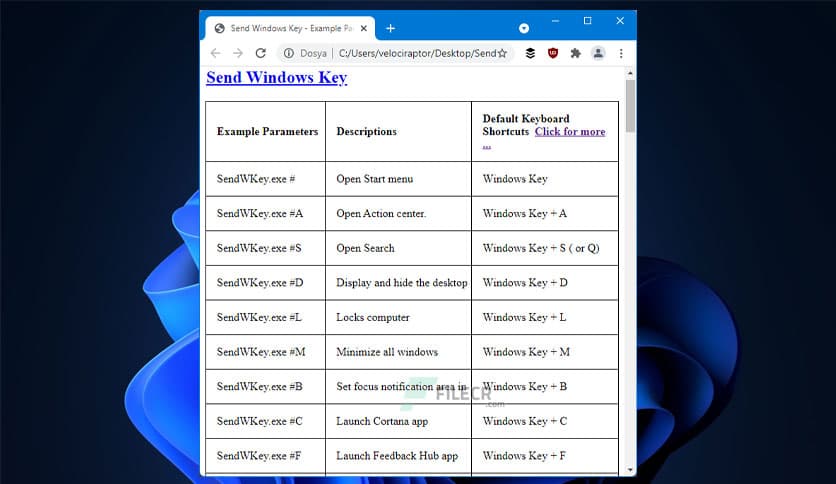 Send Windows Key 1.1