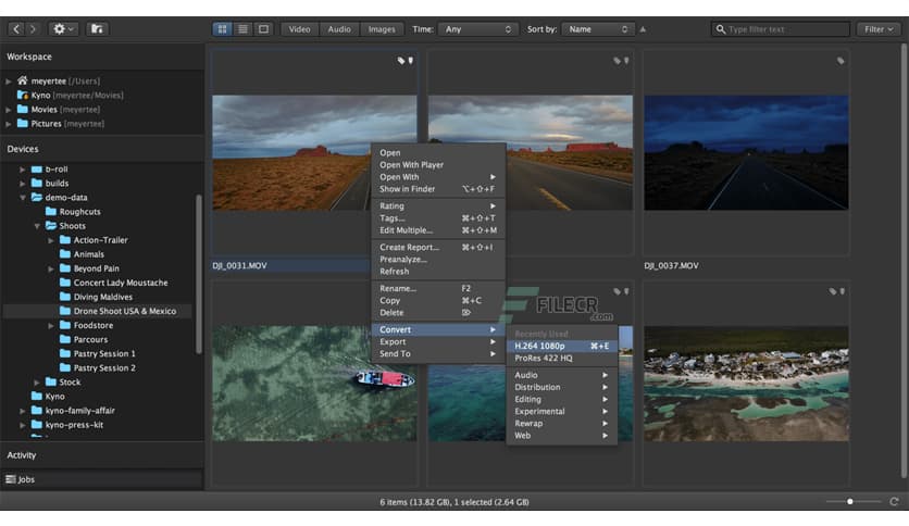Signiant Kyno Premium 1.9.0.2