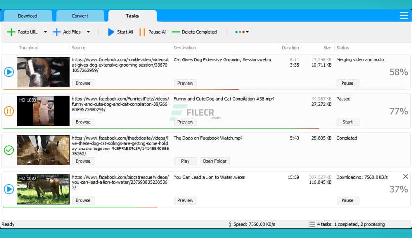Social Media Downloader 8.1.6
