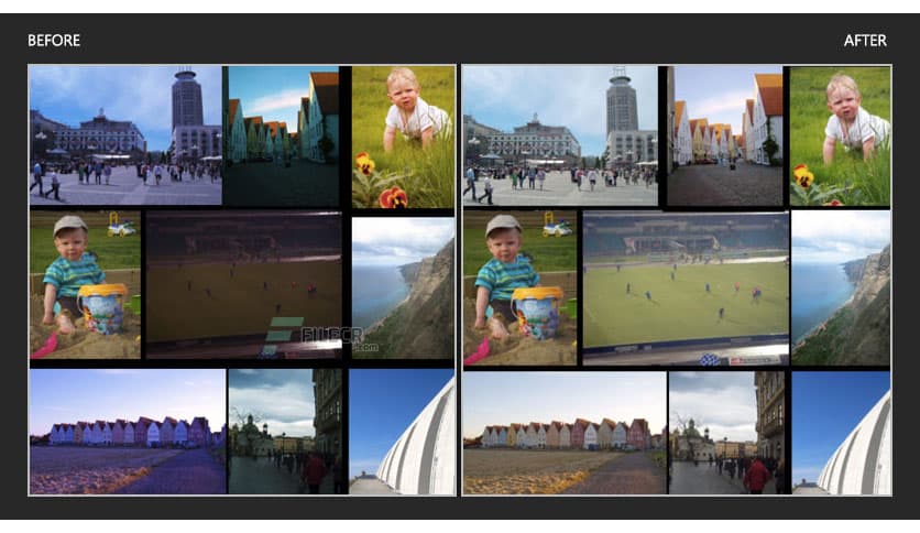 SoftColor PhotoEQ 10.10.2305