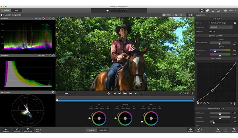 Sony Catalyst Prepare Suite 2025.3
