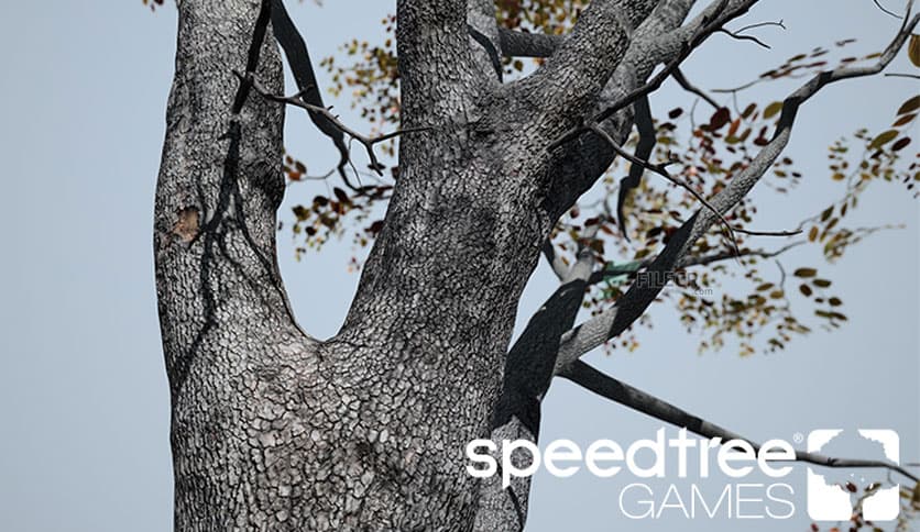 SpeedTree Games 9.3 Enterprise
