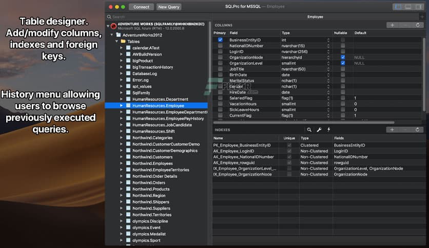 SQLPro for MSSQL 2024.73