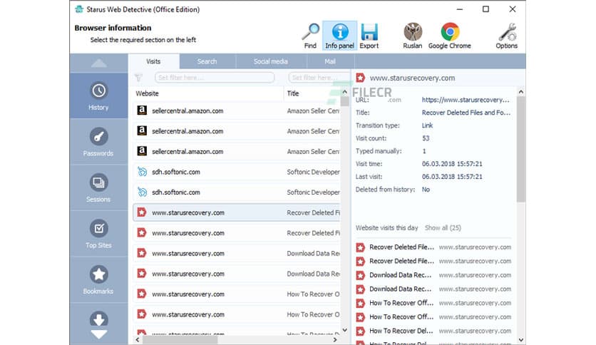 Starus Web Detective 4.0