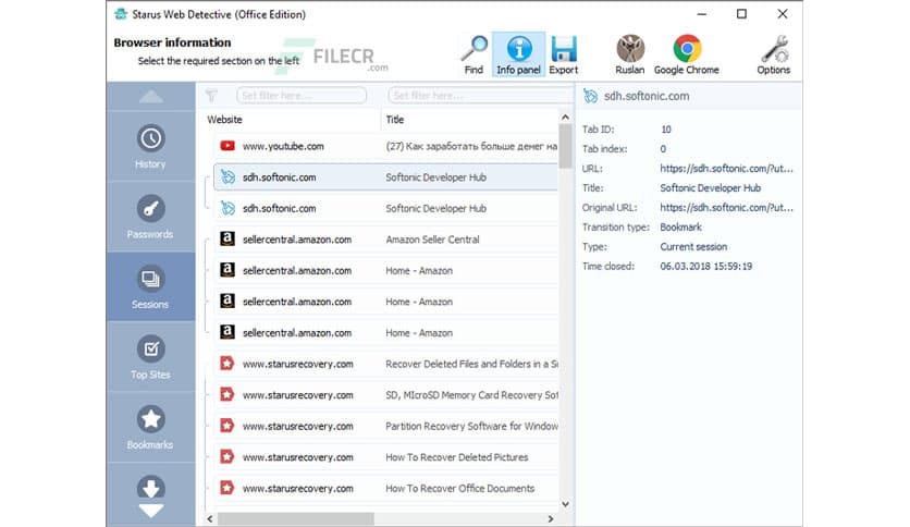 Starus Web Detective 4.0