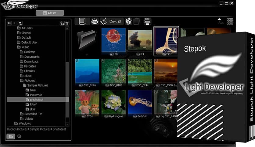 Stepok Light Developer 10.0
