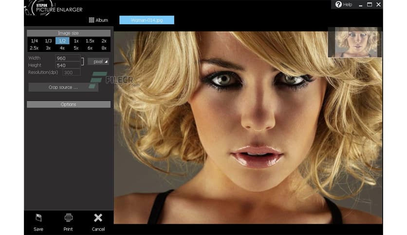 Stepok Picture Enlarger 3.1.0.0