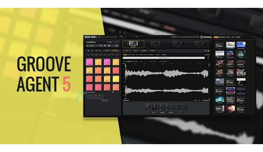 Steinberg Groove Agent 5.2.30