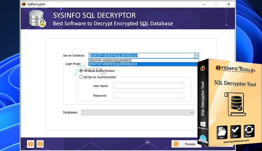 SysInfoTools SQL Decryptor 19.0