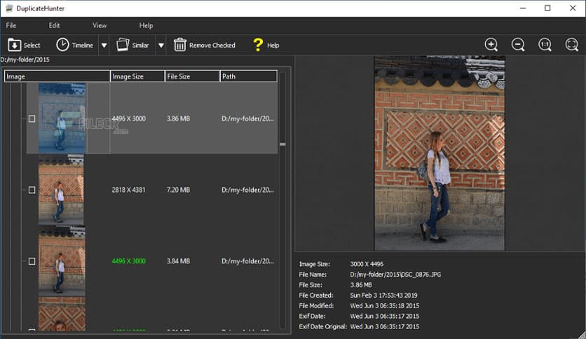 Teorex DupHunter 3.0.1