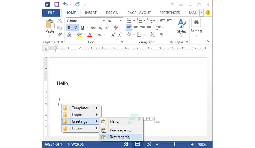 ATNSOFT Text Paster 1.12.230