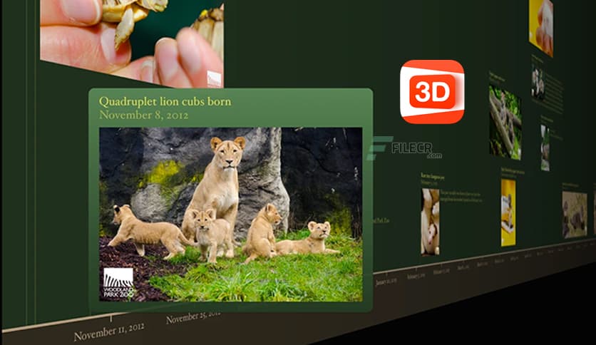 BeeDocs Timeline 3D 5.4.0