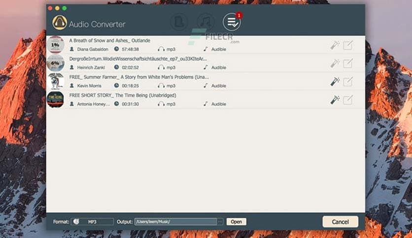Viwizard Audio Converter 3.11.0